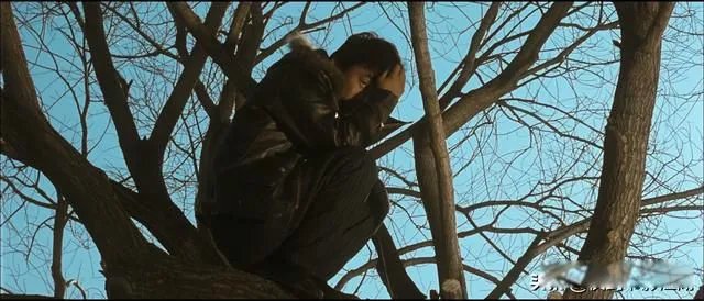 树先生解析细思极恐看了三遍 魔幻与现实交织的一部电影