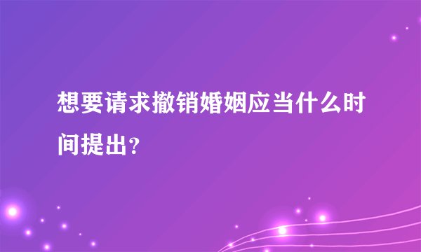 想要请求撤销婚姻应当什么时间提出？
