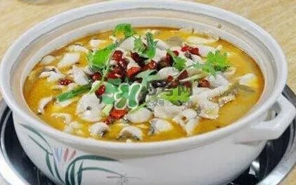 酸菜鱼是哪个地方的菜？酸菜鱼是什么鱼？