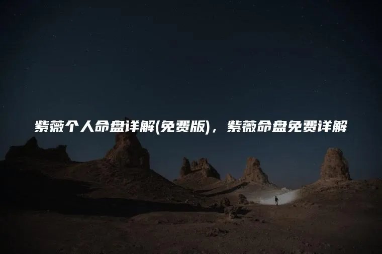 紫薇个人命盘详解(免费版)，紫薇命盘免费详解
