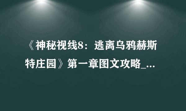 《神秘视线8：逃离乌鸦赫斯特庄园》第一章图文攻略_飞外单机游戏