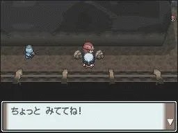 口袋妖怪白金图文攻略