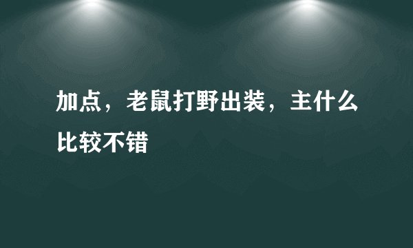 加点，老鼠打野出装，主什么比较不错