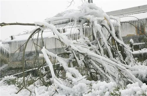 冰灾是07年还是08年