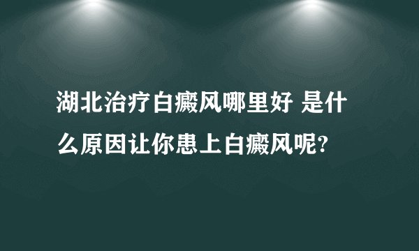 湖北治疗白癜风哪里好 是什么原因让你患上白癜风呢?