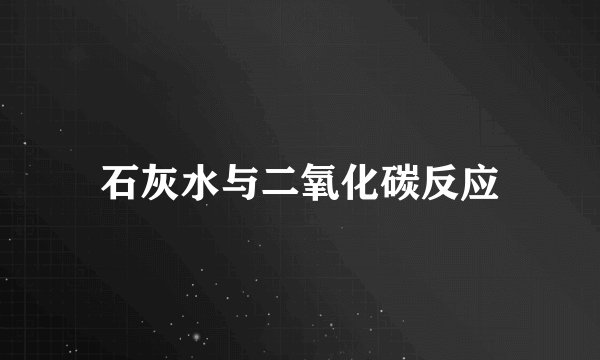 石灰水与二氧化碳反应