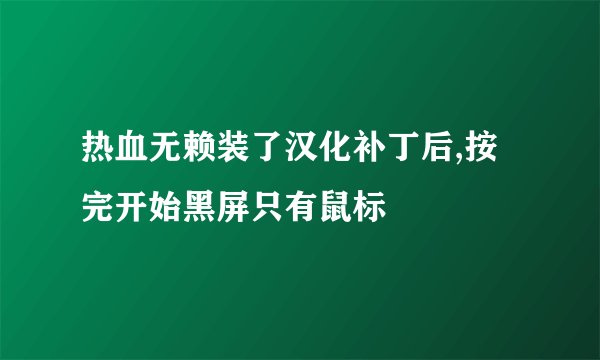 热血无赖装了汉化补丁后,按完开始黑屏只有鼠标