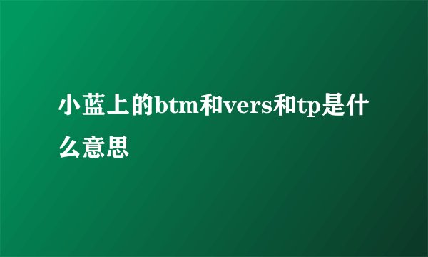 小蓝上的btm和vers和tp是什么意思