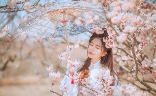 十二生肖各属什么星座 十二生肖配对十二星座有哪些