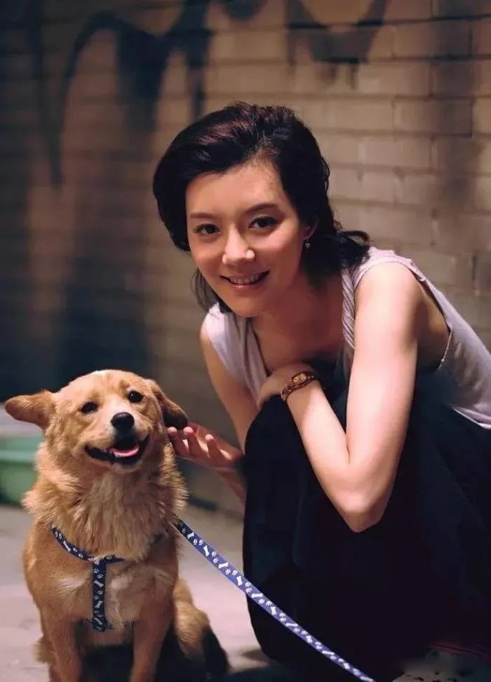 王丽云个人简历资料 女儿是车晓，前丈夫是谁