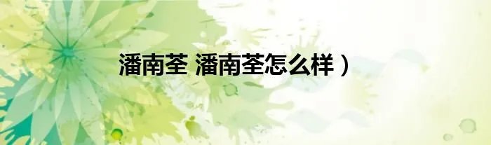 潘南荃 潘南荃怎么样）