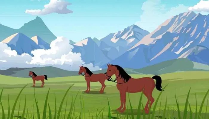 2024九紫离火运最好生肖 有步入巅峰的机会