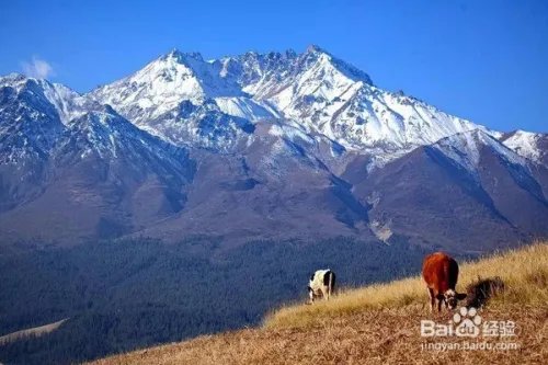 祁连山下,谁牵动了我的衣襟?