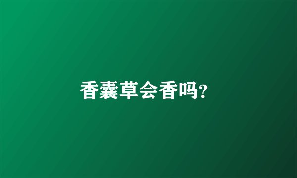 香囊草会香吗？