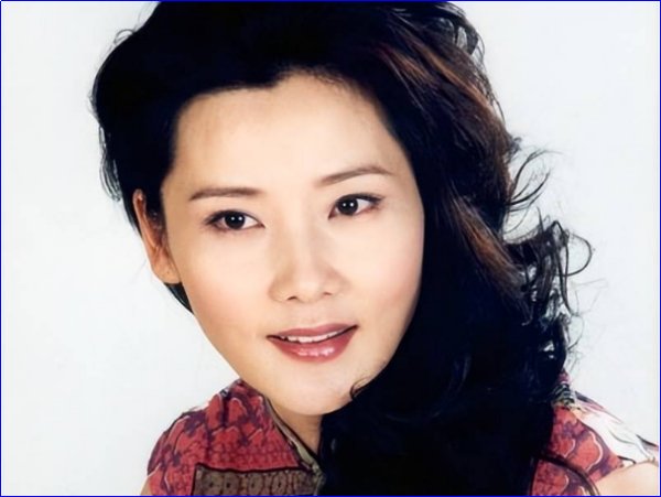 何赛飞主演电视剧大全