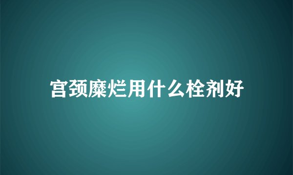 宫颈糜烂用什么栓剂好