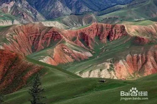 祁连山下,谁牵动了我的衣襟?