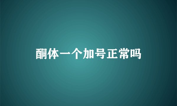 酮体一个加号正常吗