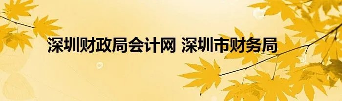 深圳财政局会计网 深圳市财务局