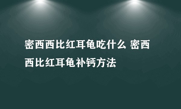 密西西比红耳龟吃什么 密西西比红耳龟补钙方法