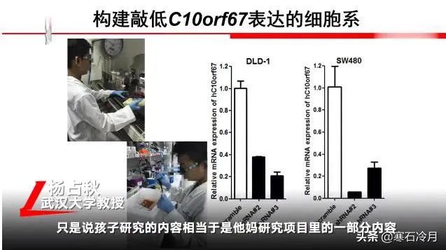 小学生研究癌症获奖遭质疑，一等奖撤销。青少年该不该搞科研？