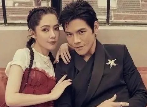 向佐郭碧婷为何会再次申请注册结婚呢？