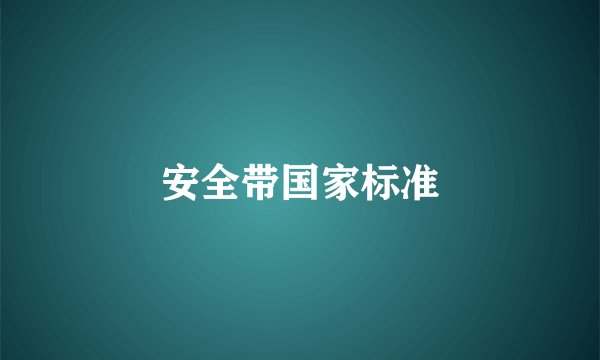 安全带国家标准