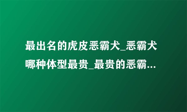 最出名的虎皮恶霸犬_恶霸犬哪种体型最贵_最贵的恶霸犬100万