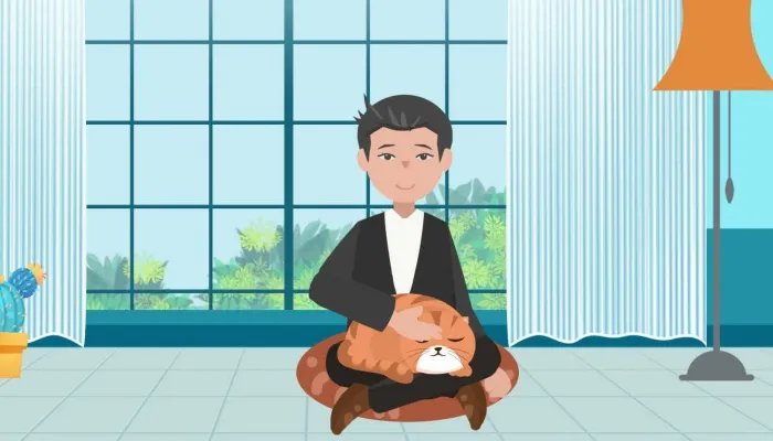 为什么猫咪能像液体