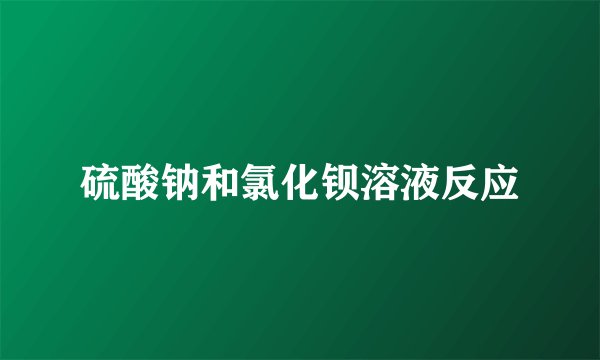 硫酸钠和氯化钡溶液反应