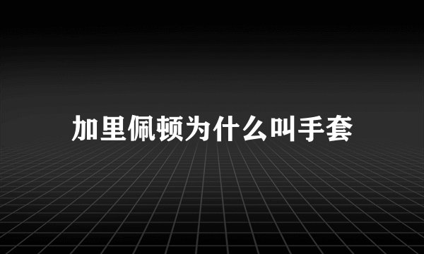 加里佩顿为什么叫手套