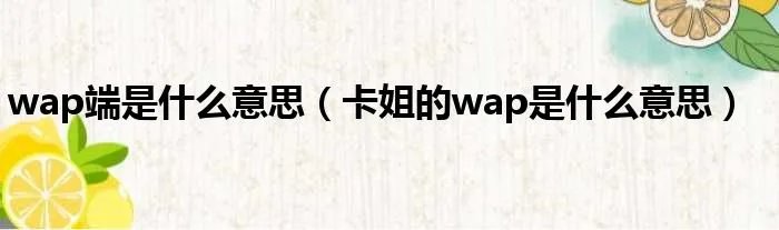 wap端是什么意思（卡姐的wap是什么意思）