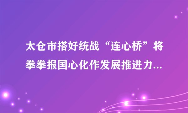 太仓市搭好统战“连心桥”将拳拳报国心化作发展推进力_飞外新闻