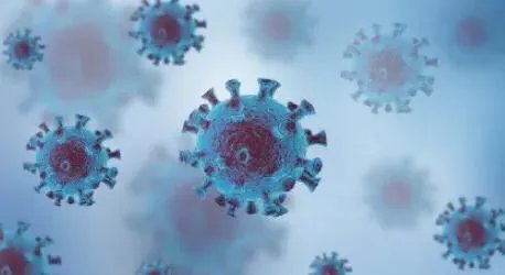 多国发现变异毒株，人类会因为新冠而在今明年消失吗？