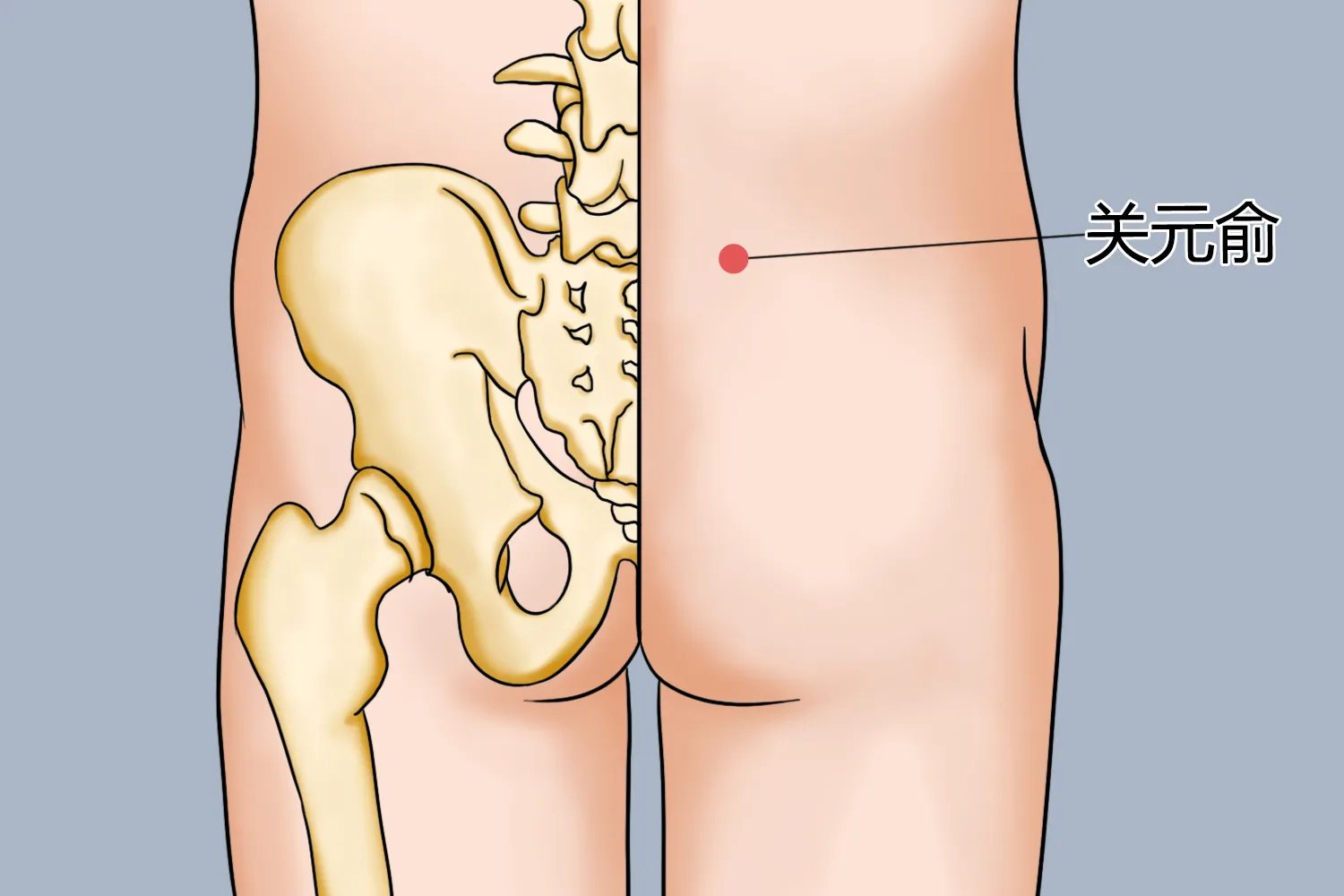 关元俞的准确位置图和作用