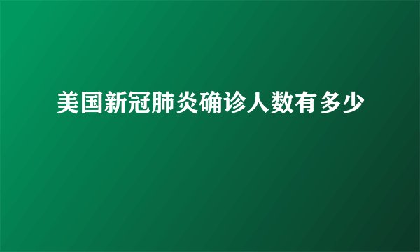 美国新冠肺炎确诊人数有多少