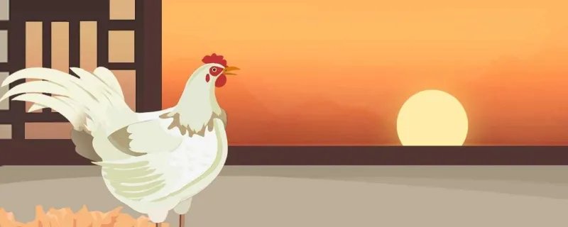 感恩节为什么要吃火鸡