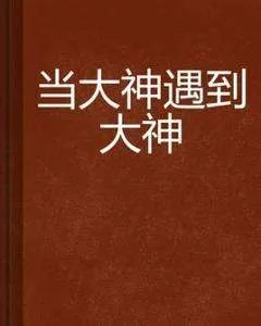 当大神遇到大神txt全集下载