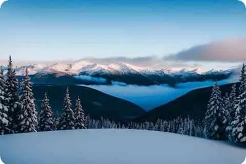 世纪红塔山多少钱