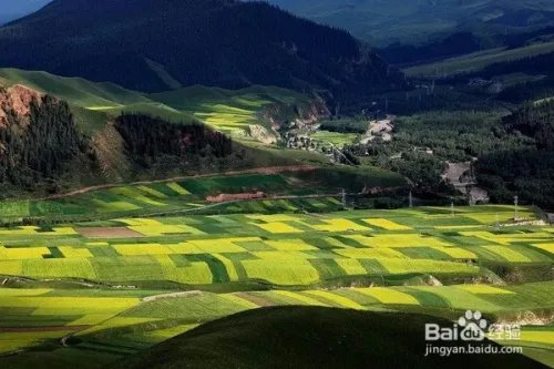 祁连山下,谁牵动了我的衣襟?