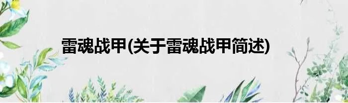 雷魂战甲(关于雷魂战甲简述)