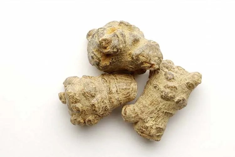 扭伤草药图片大全和名称