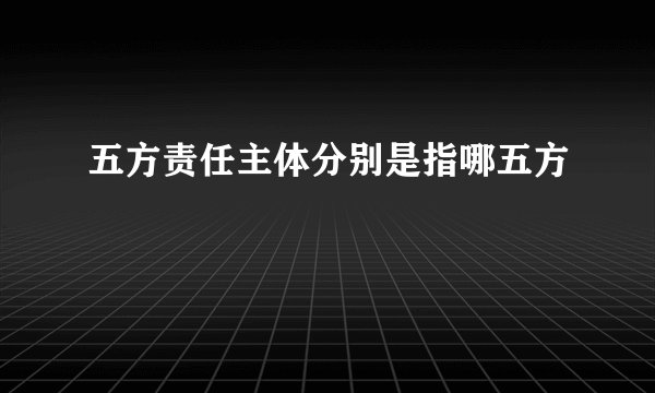 五方责任主体分别是指哪五方