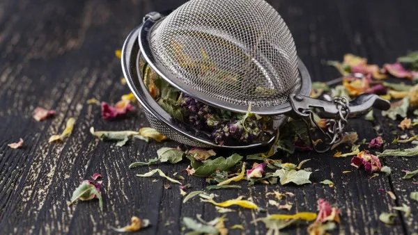 杜仲的功效与作用及食用方法