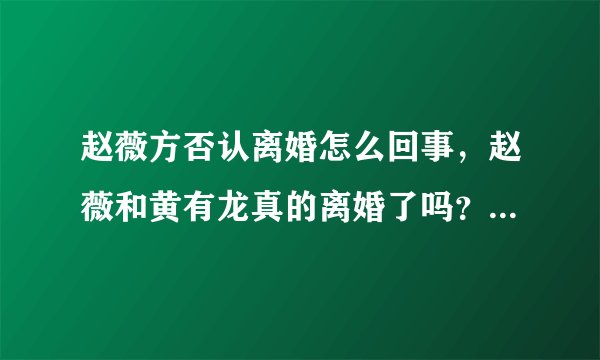 赵薇方否认离婚怎么回事，赵薇和黄有龙真的离婚了吗？- 飞外网