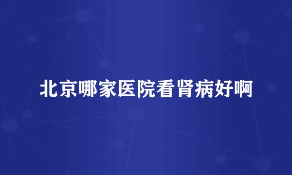北京哪家医院看肾病好啊