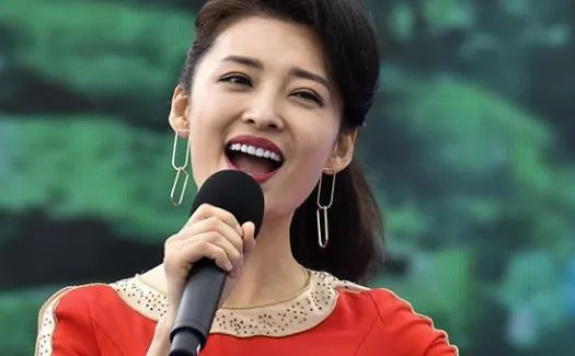 安徽电视台女主持人名单及图片