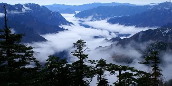 湖北旅游景点排名前十的景点有哪些?