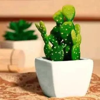 男子骑车失控摔入仙人掌丛，具体是什么情况？