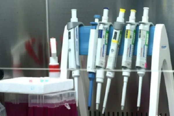 驻休斯敦总领馆全体馆员核酸阴性，目前的核酸检测准吗？